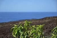 La Réunion