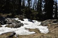 Auf den Weg zur Lackenhütte, die ersten Schneeflecken