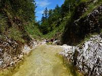 Canyoning im Ernabach