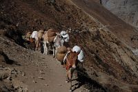 Unterwegs auf der Annapurna-Runde